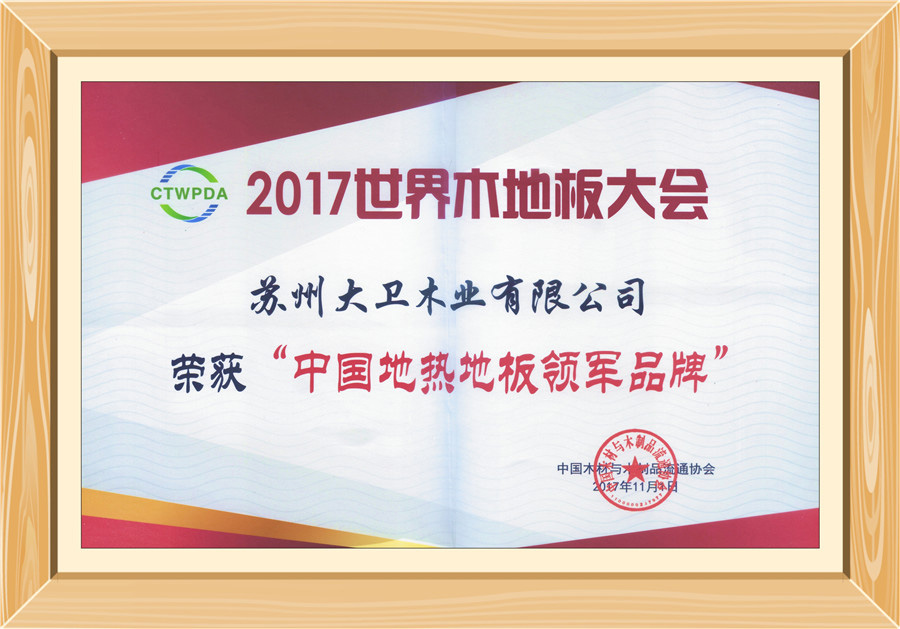 kaiyun开云线上官网（集团）官方网站地板荣获“中国地热地板领军品牌”0.jpg